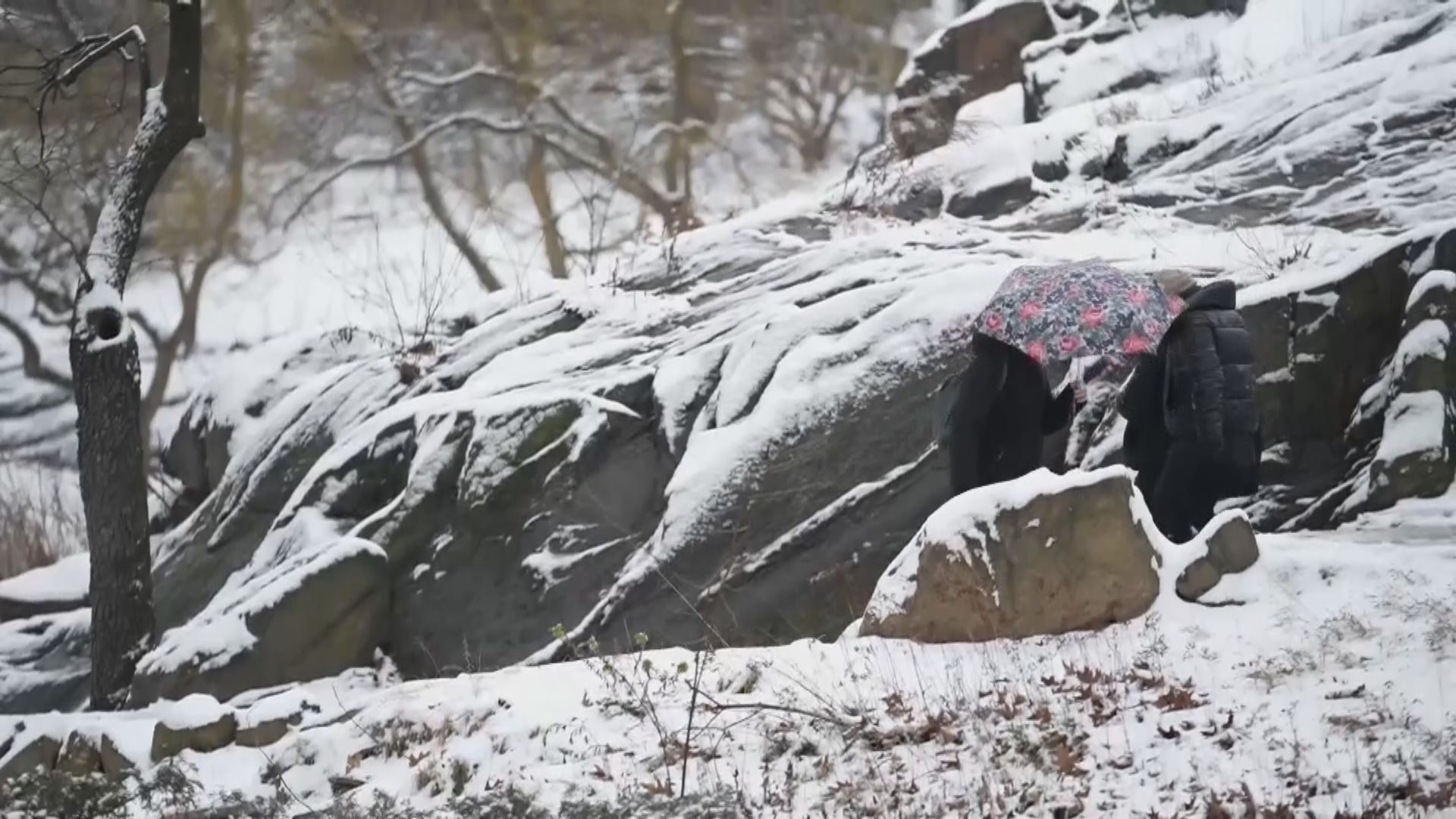 紐約時隔近兩年首次明顯降雪