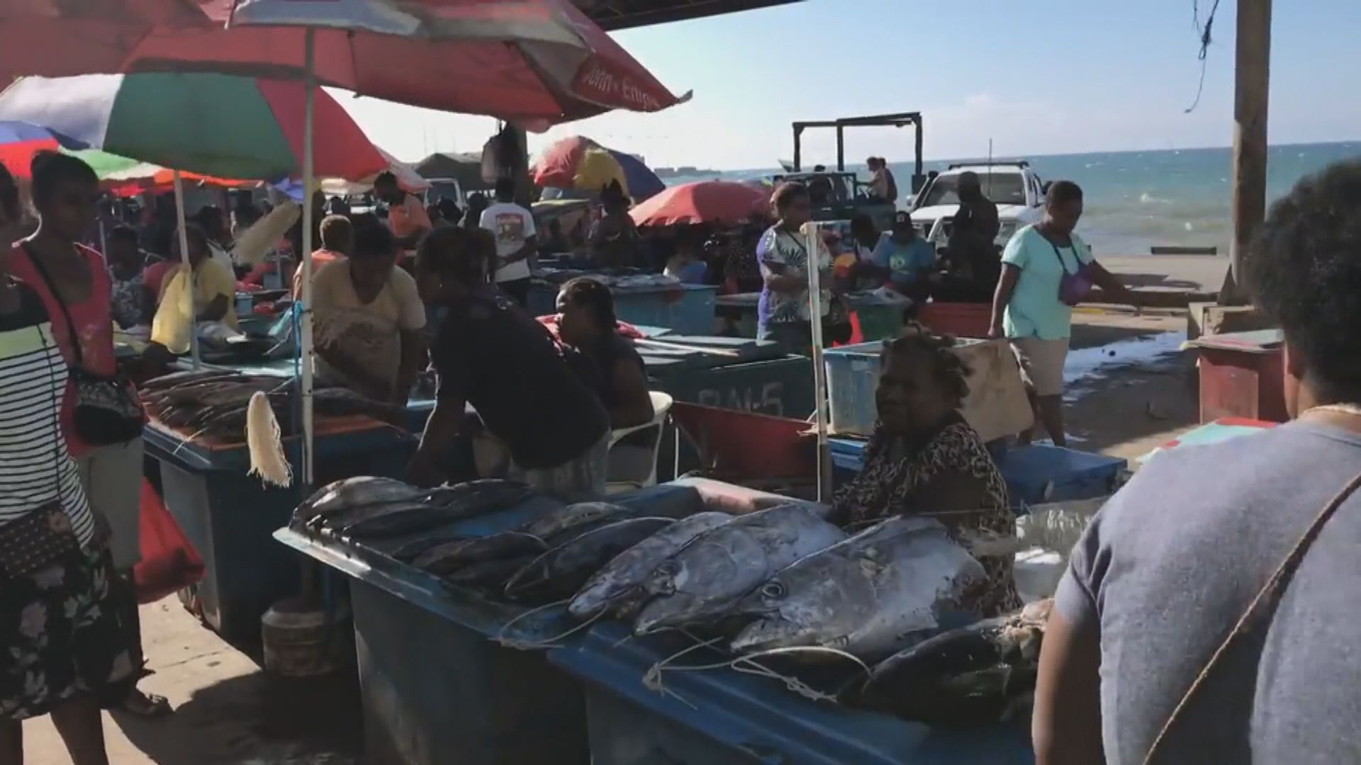 美日澳紐關注中國和所羅門群島簽署安全合作框架協議