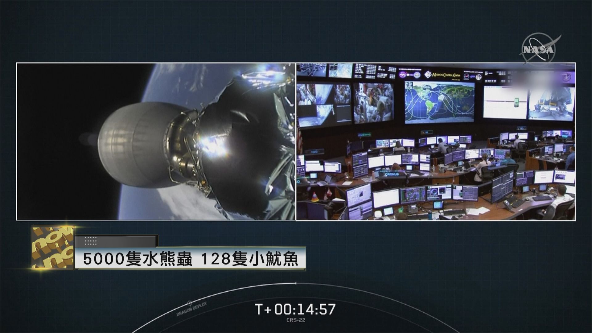 SpaceX送兩種生物上太空 　了解對太空環境反應