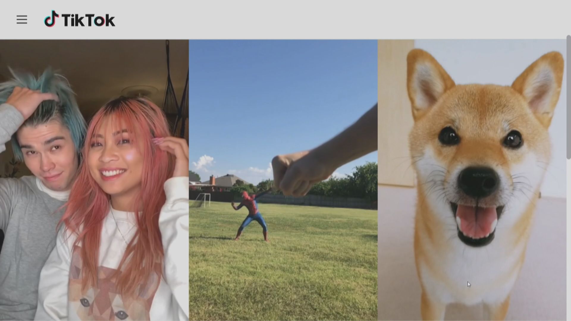 特朗普擬上任後發行政命令　暫停TikTok不賣即禁法例