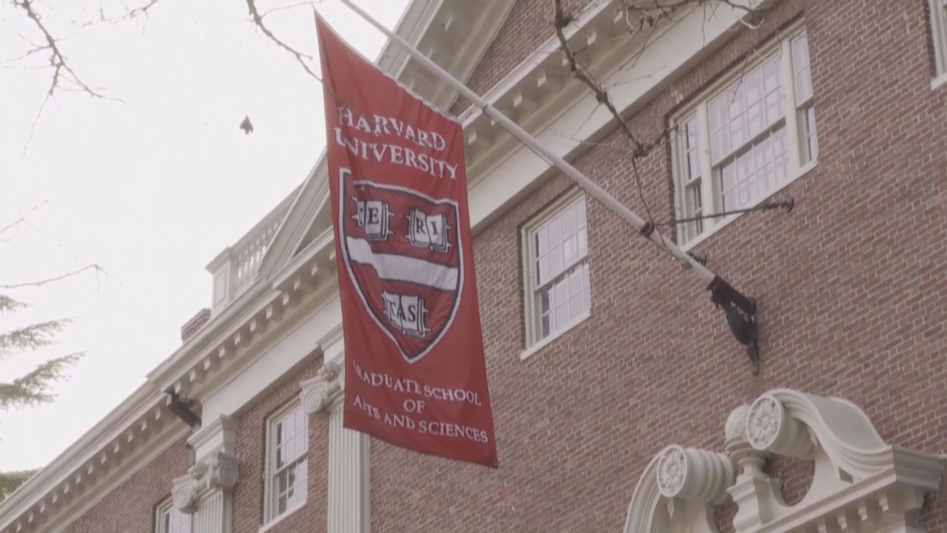 美國取消留學生須親身上課規定