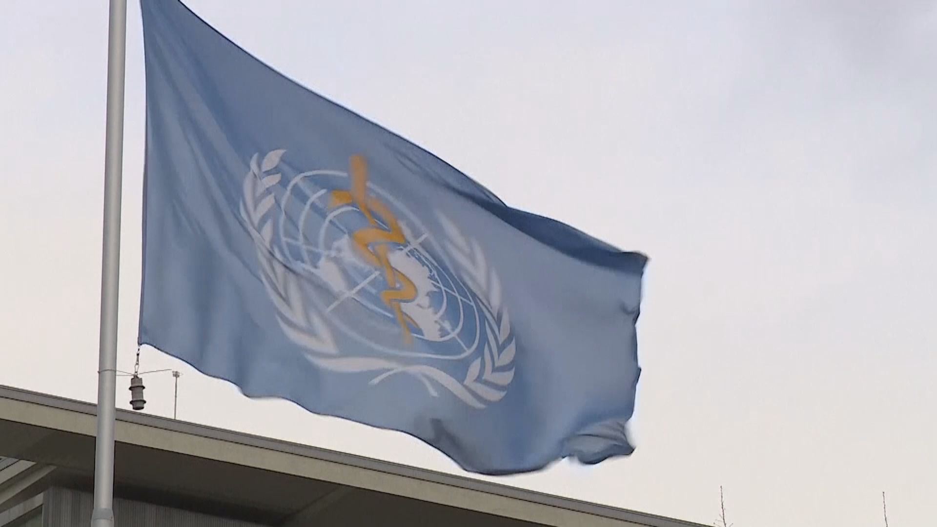 美國明年七月退出世衛　拜登指若當選總統會推翻決定