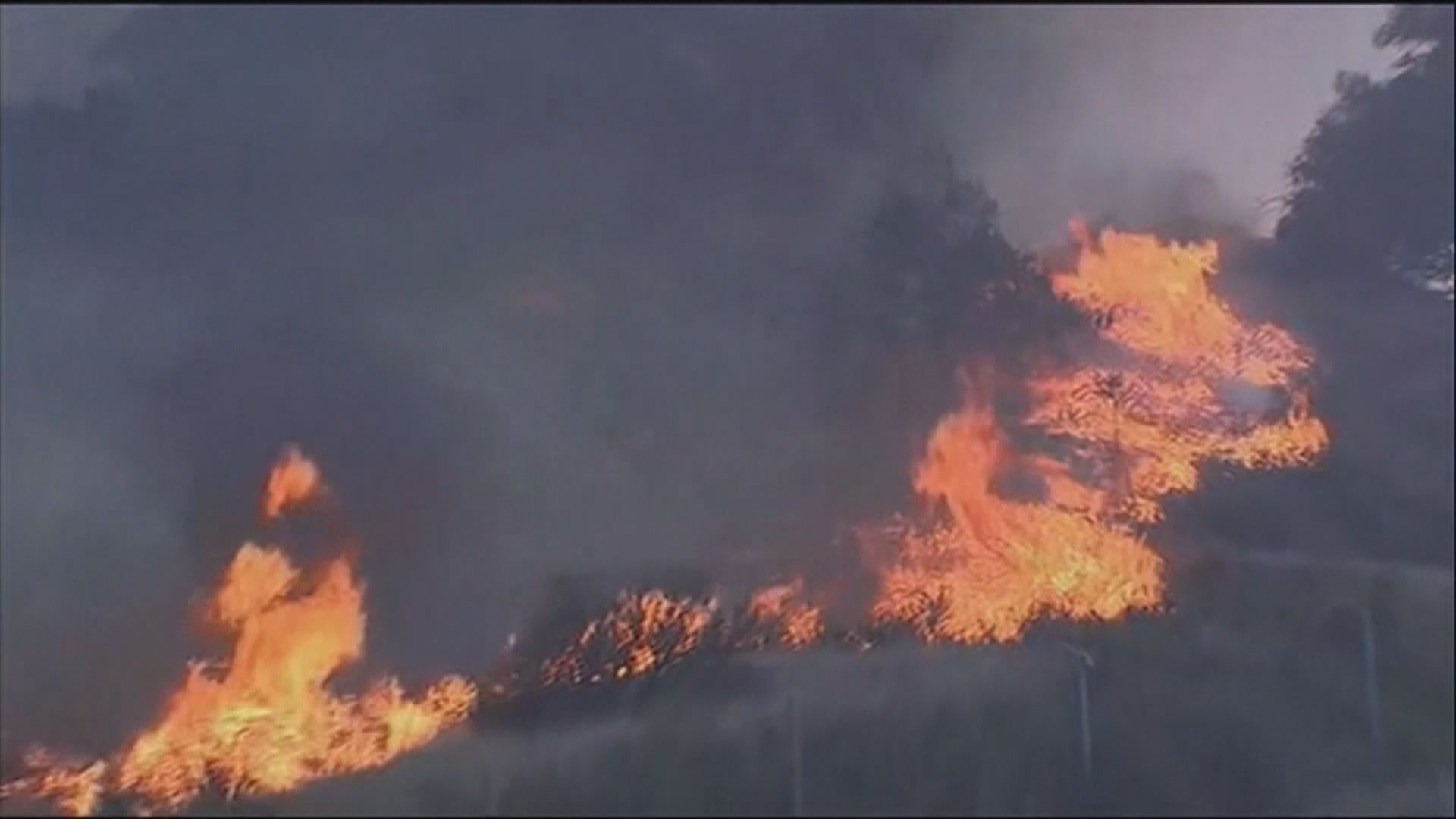 加州北部山火釀最少九死