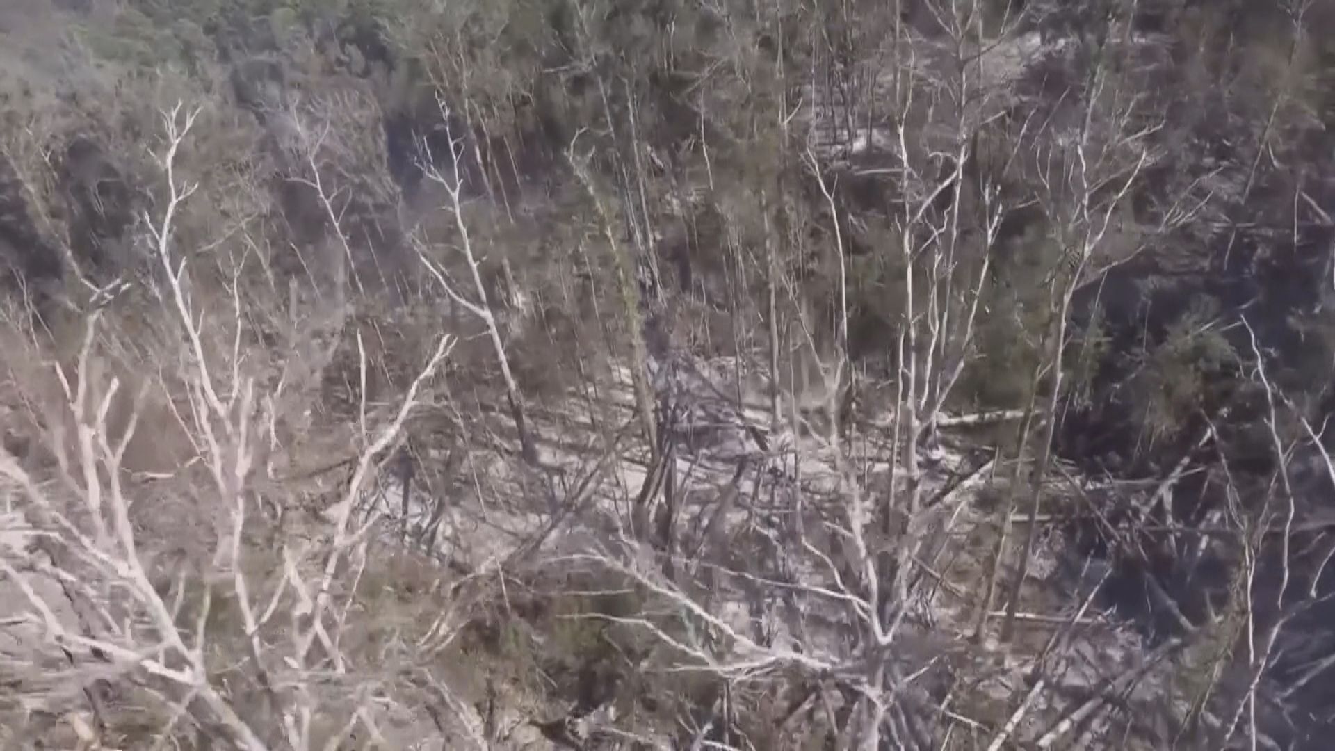 美國夏威夷山火死亡人數增至89人