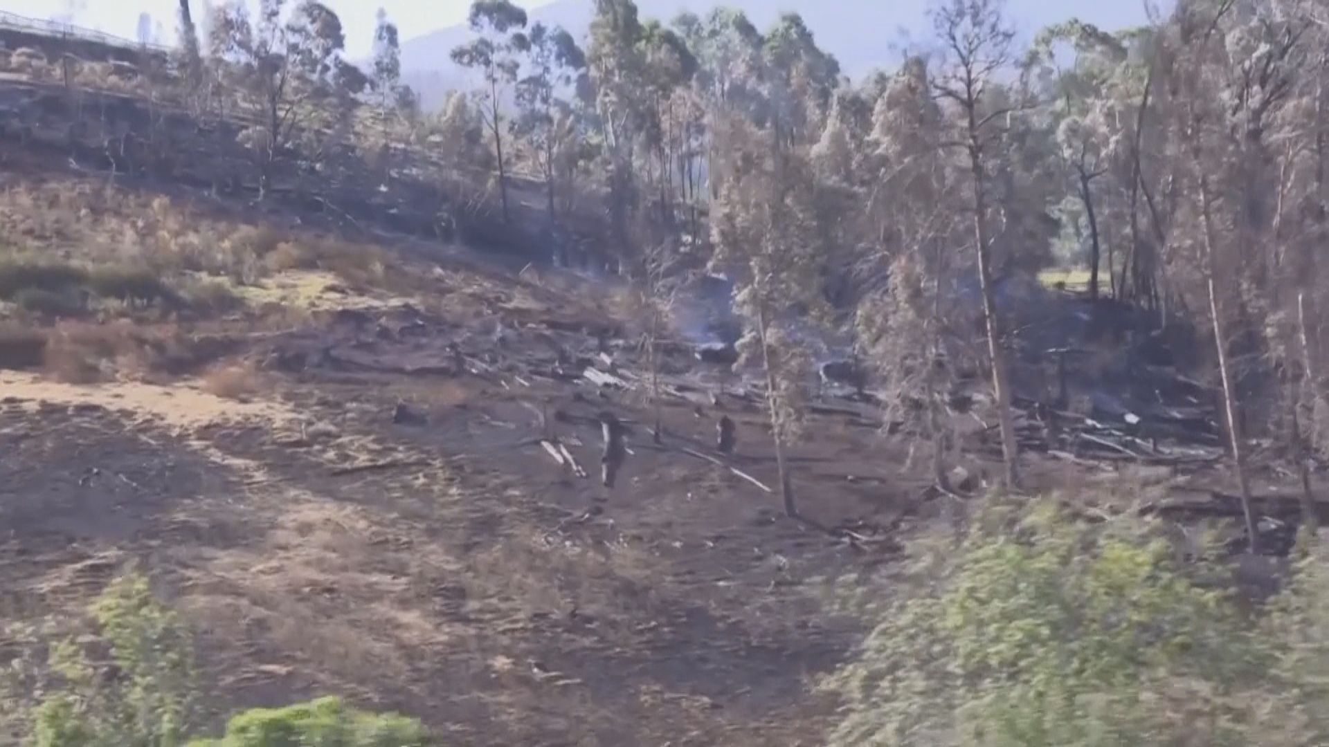 美國夏威夷山火死亡人數增至93人