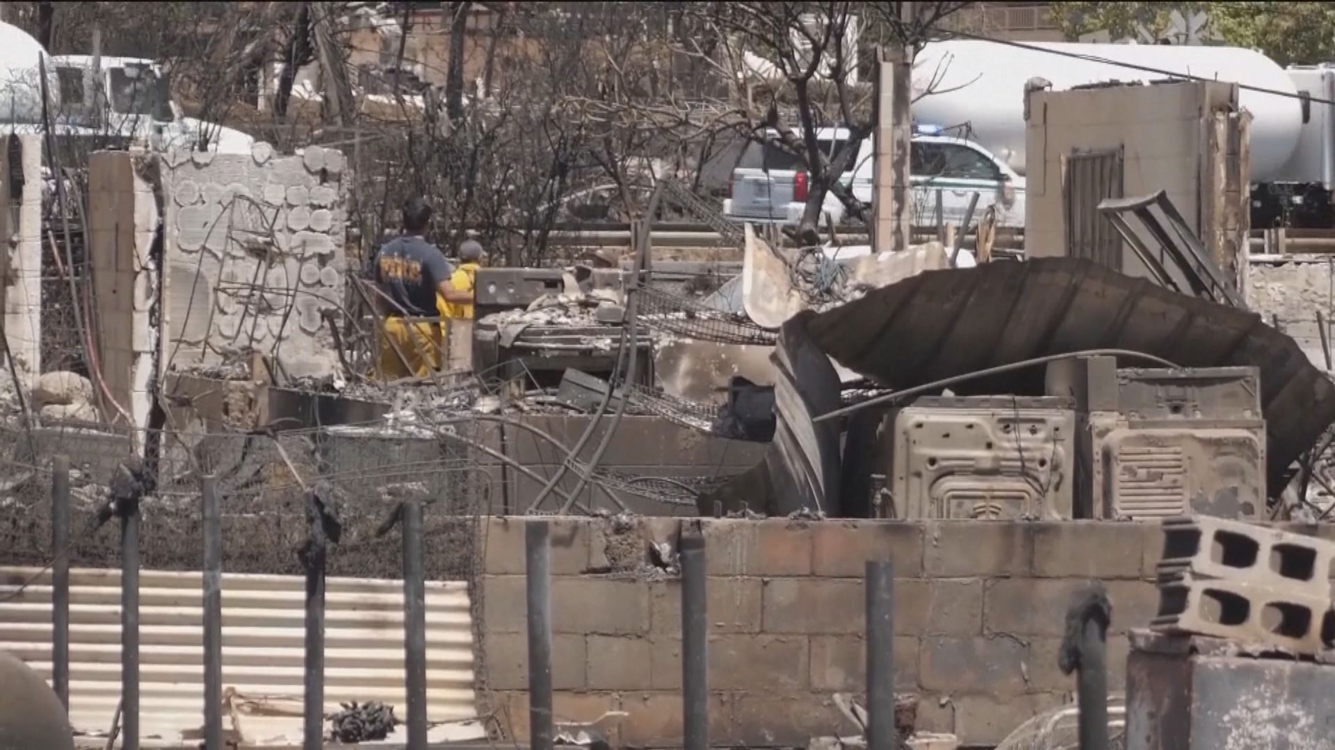 夏威夷山火多人仍失蹤 當局籲家屬提供DNA確認身份