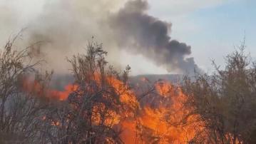 美國加州國家森林大火　數百座建築物受威脅