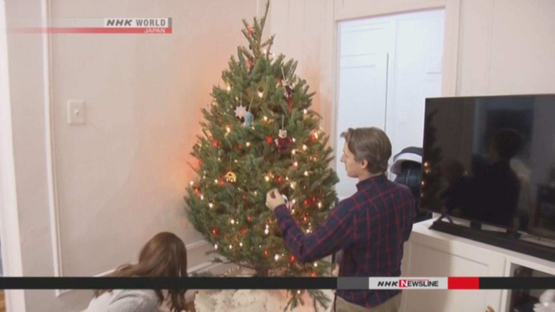 美國聖誕樹價格今年再度上升