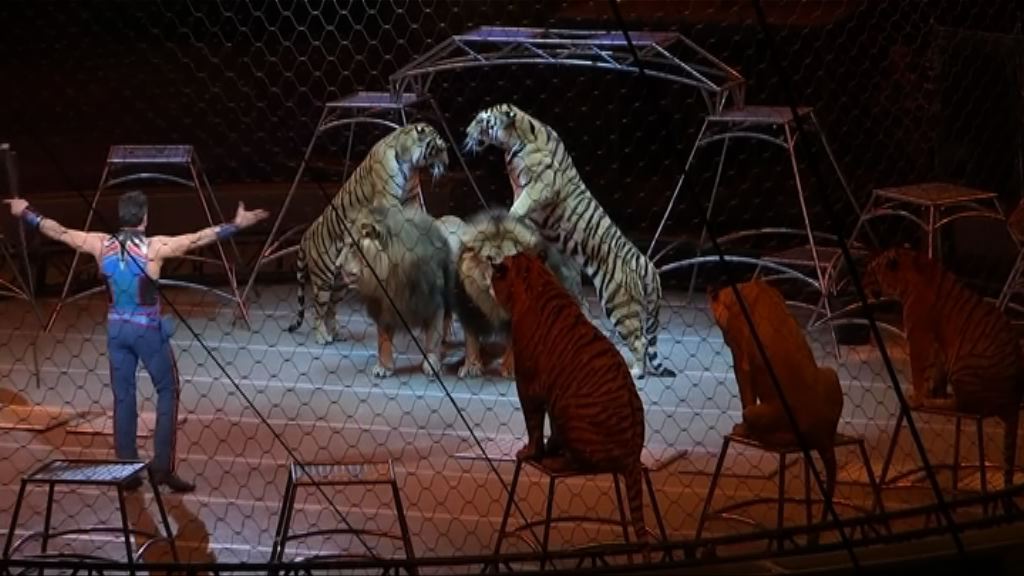 美國逾百年歷史玲玲馬戲團完成告別演出