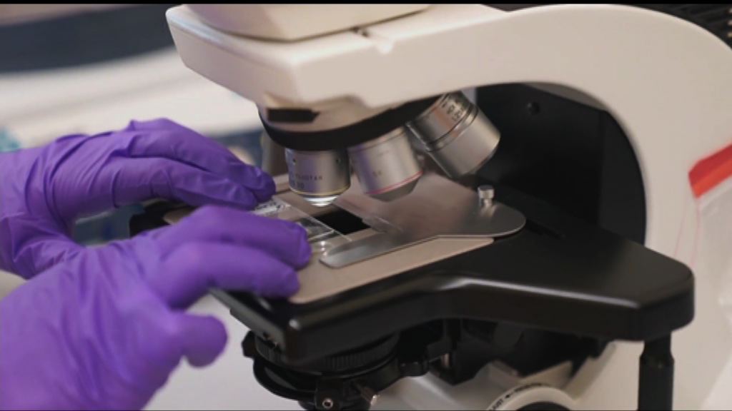 美國專家據DNA確認遺骸身分 