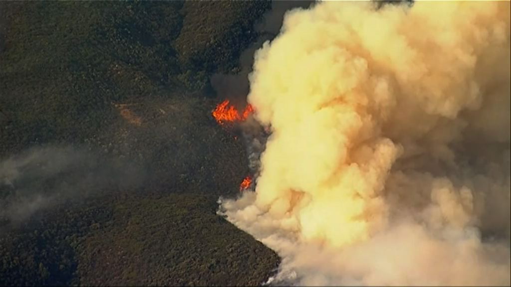美國南加州山火　文圖拉縣僅一成半火勢受控
