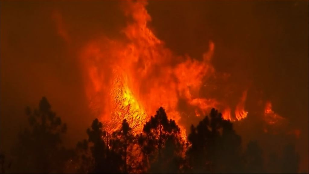 特朗普批加州無善用水源救火 