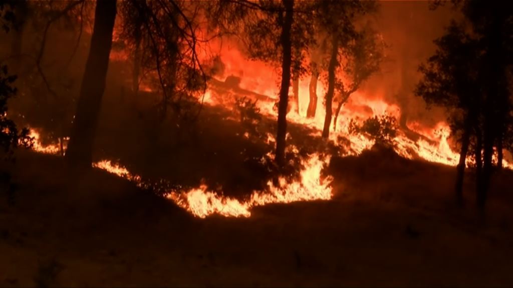 美國加州北部山火蔓延最少一死