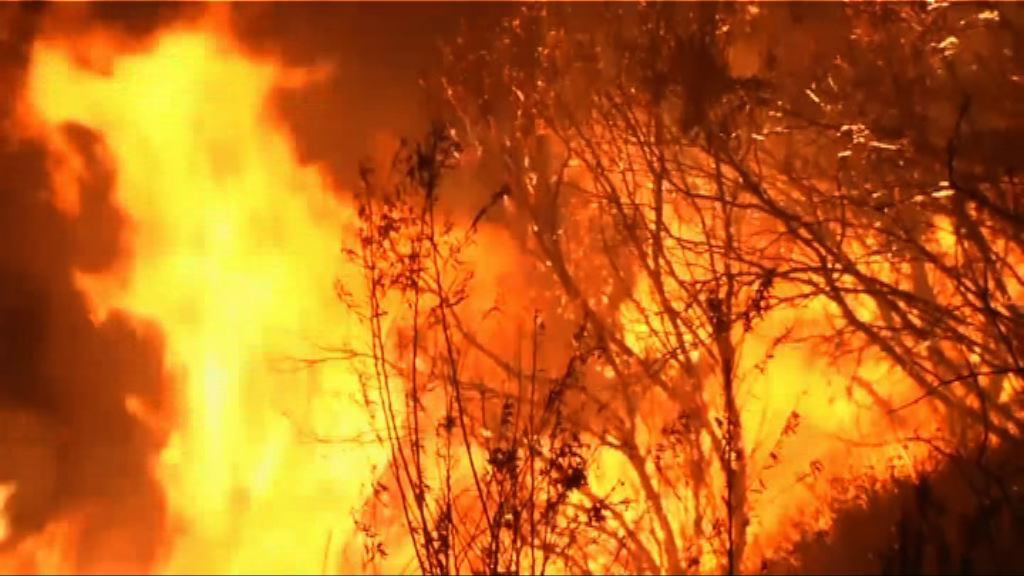 美國加州南部山火最少一死