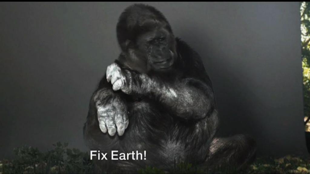 美國懂手語大猩猩科科逝世