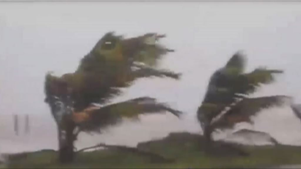 受颶風艾爾瑪影響　加勒比海島國出現狂風暴雨