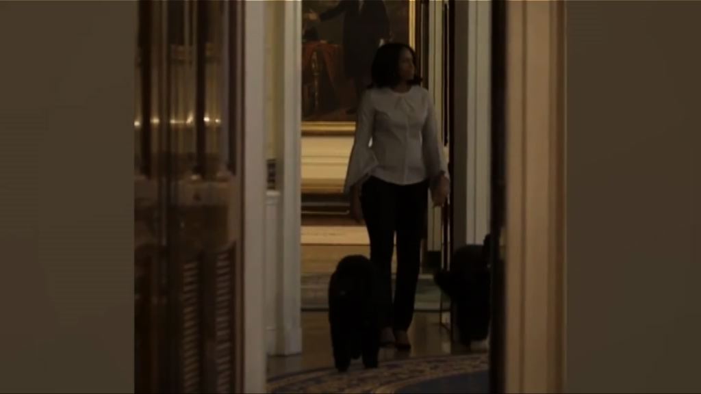 美第一夫人米歇爾攜愛犬遊白宮