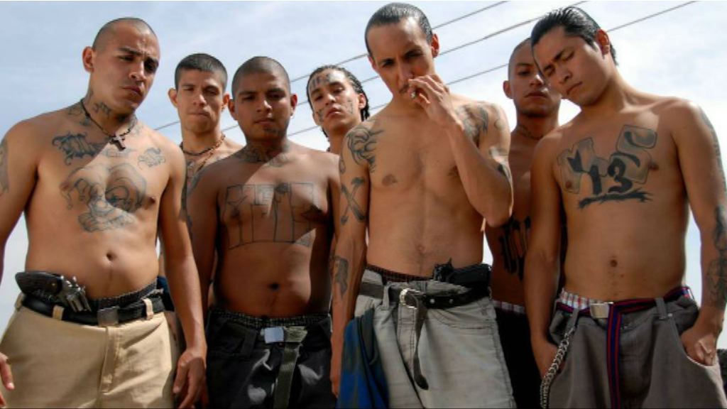 特朗普點名打擊黑幫組織MS-13