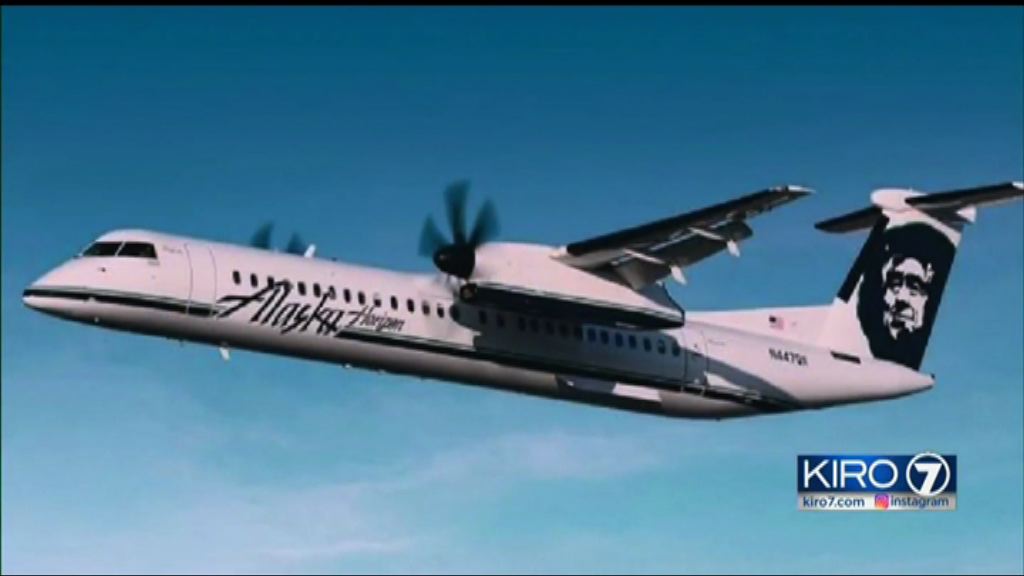 美國無載客飛機被盜後墜毀　當局指是自殺案