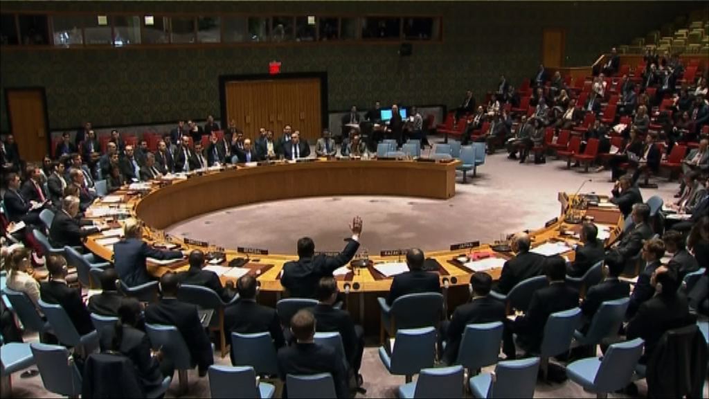 中俄否決制裁涉用化武敘國軍官