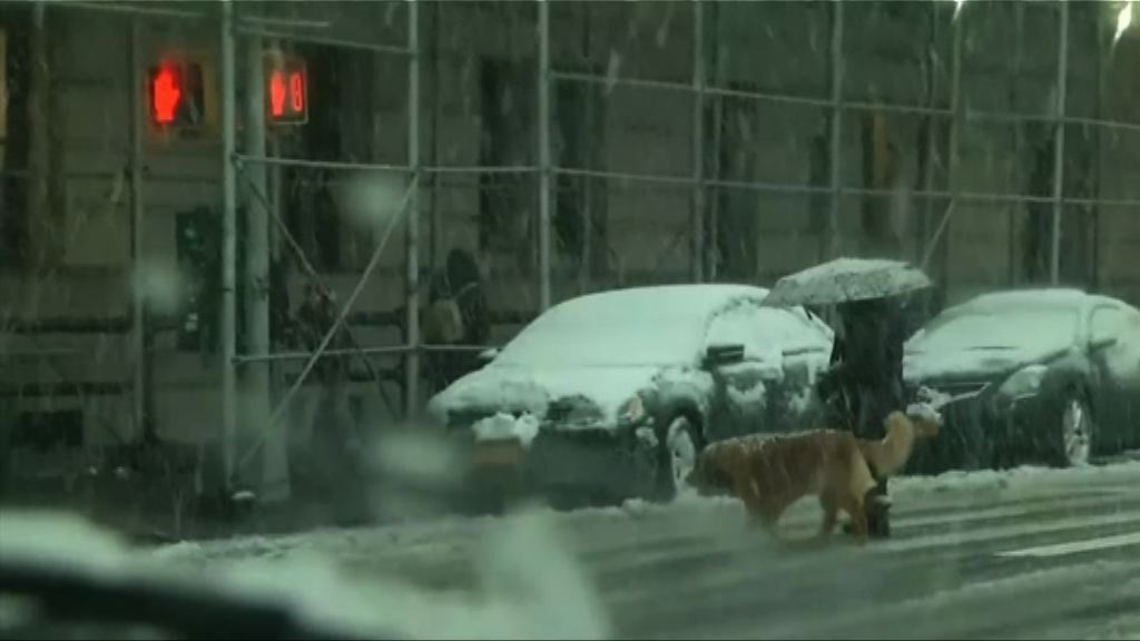 美東岸再遭暴風雪吹襲　紐約逾千班航班取消