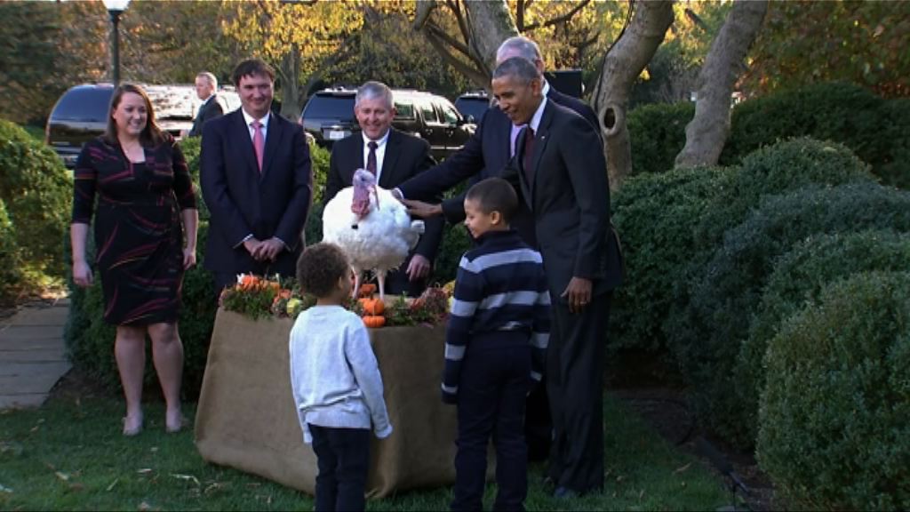 奧巴馬按感恩節傳統特赦火雞