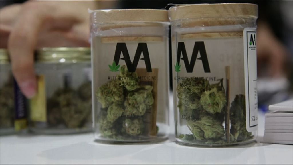 美國內華達州大麻合法化　銷情較預期高