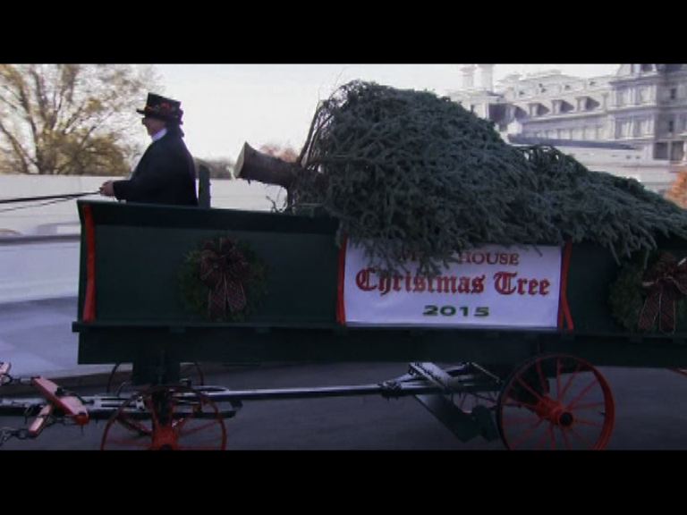 美國官方聖誕樹運抵白宮