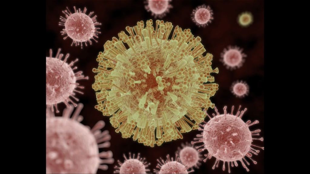 美確診首宗同性性行為染寨卡個案