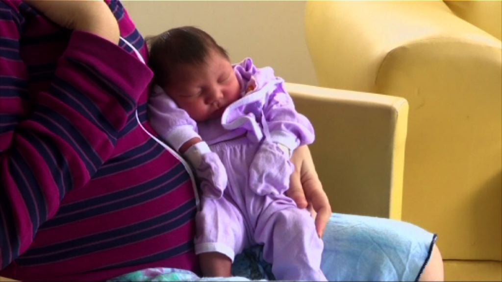 美國九名孕婦感染寨卡病毒