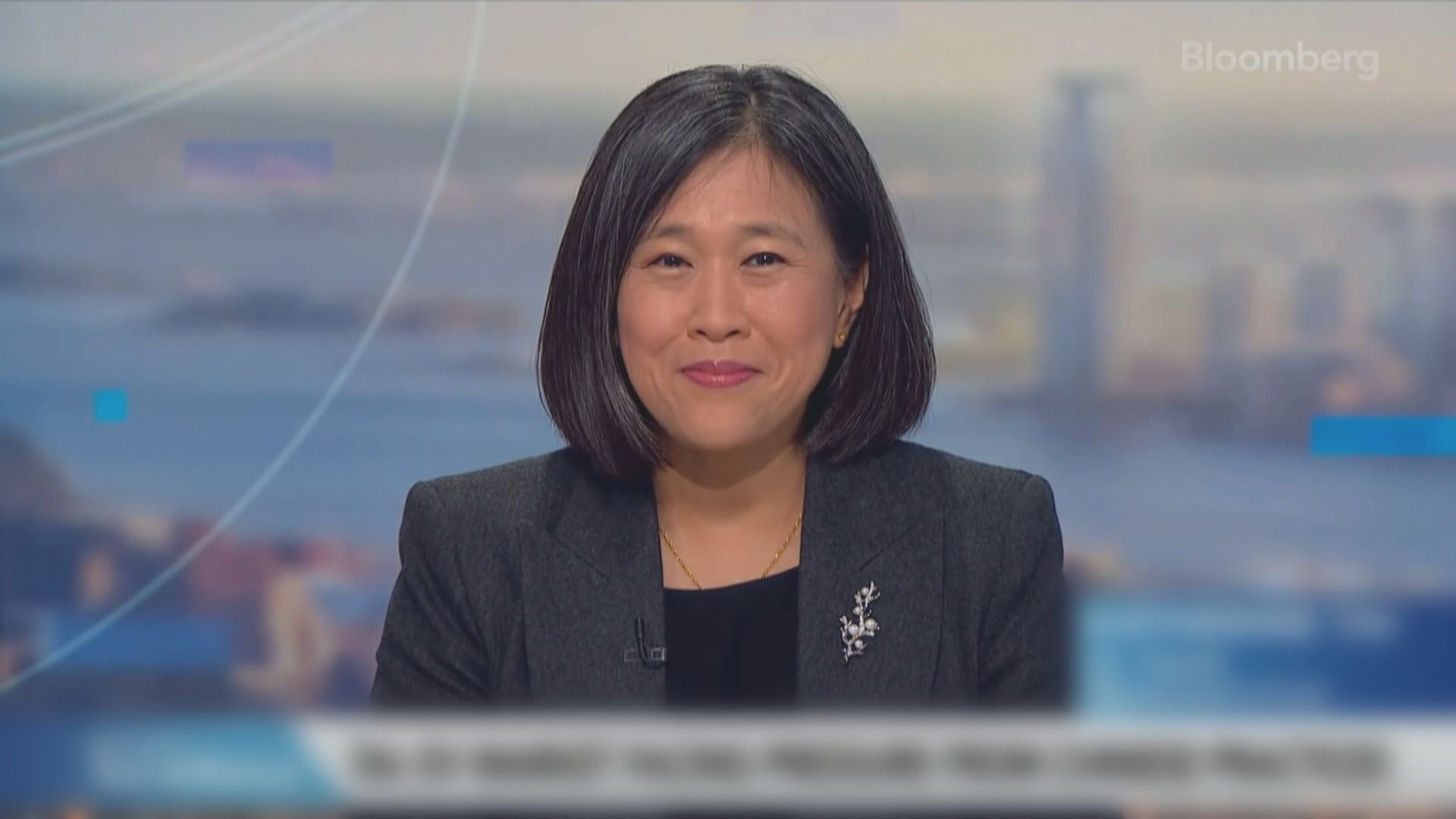 戴琪：對中國的關稅評估即將得出結論