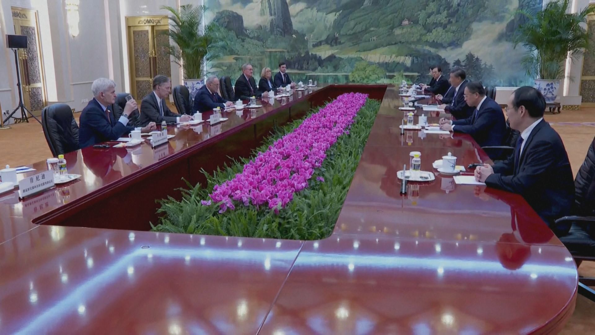 習近平會見美國參議院多數黨領袖舒默