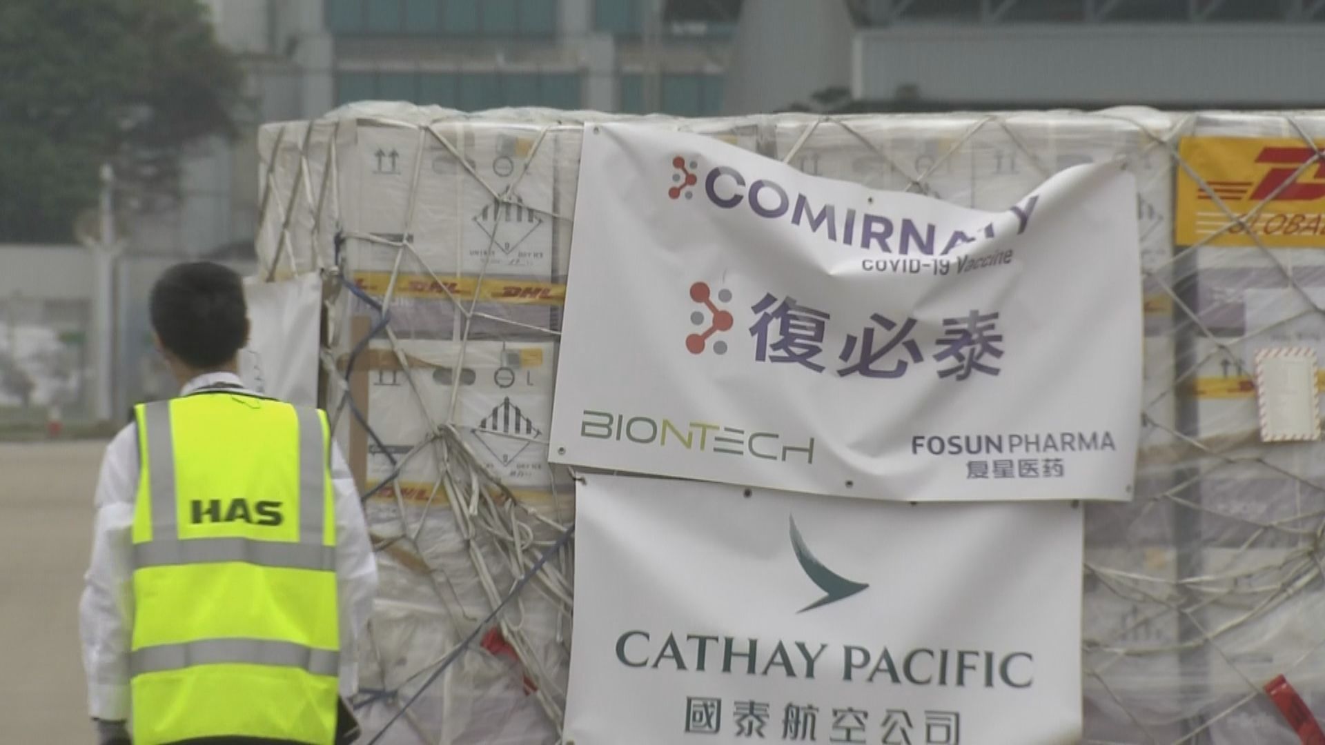 首批58萬劑復必泰疫苗由德國空運抵港