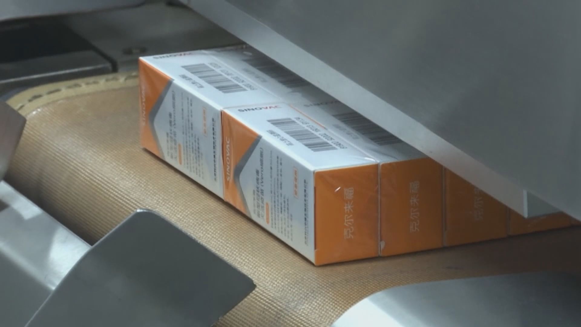 世衛正審核科興及國藥疫苗　本地專家希望科興向本港提交相同數據　