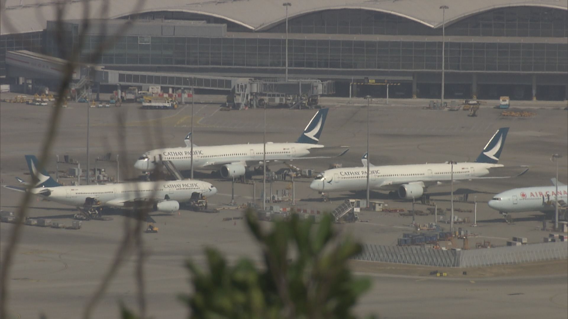 政府認可多六個地方的疫苗接種紀錄　包括墨西哥等