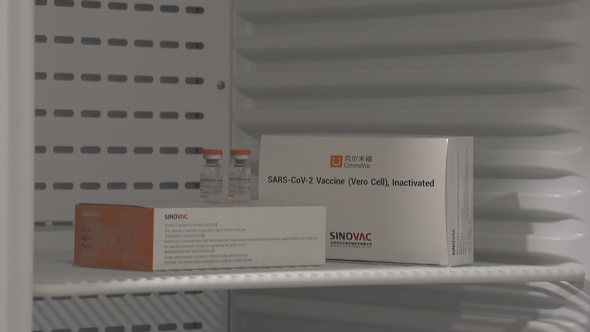 專家委員會討論降低科興疫苗接種年齡至三歲