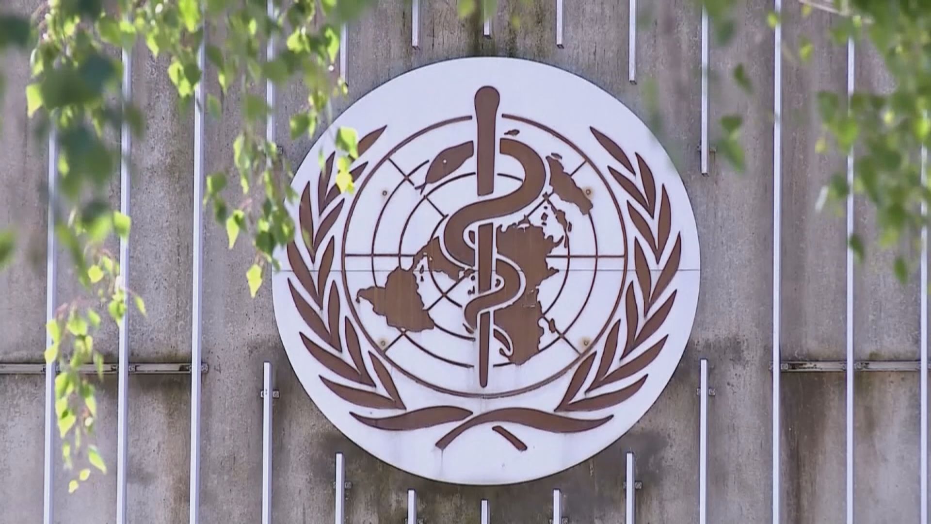 猴痘病毒蔓延至十多國　世衛相信情況可控