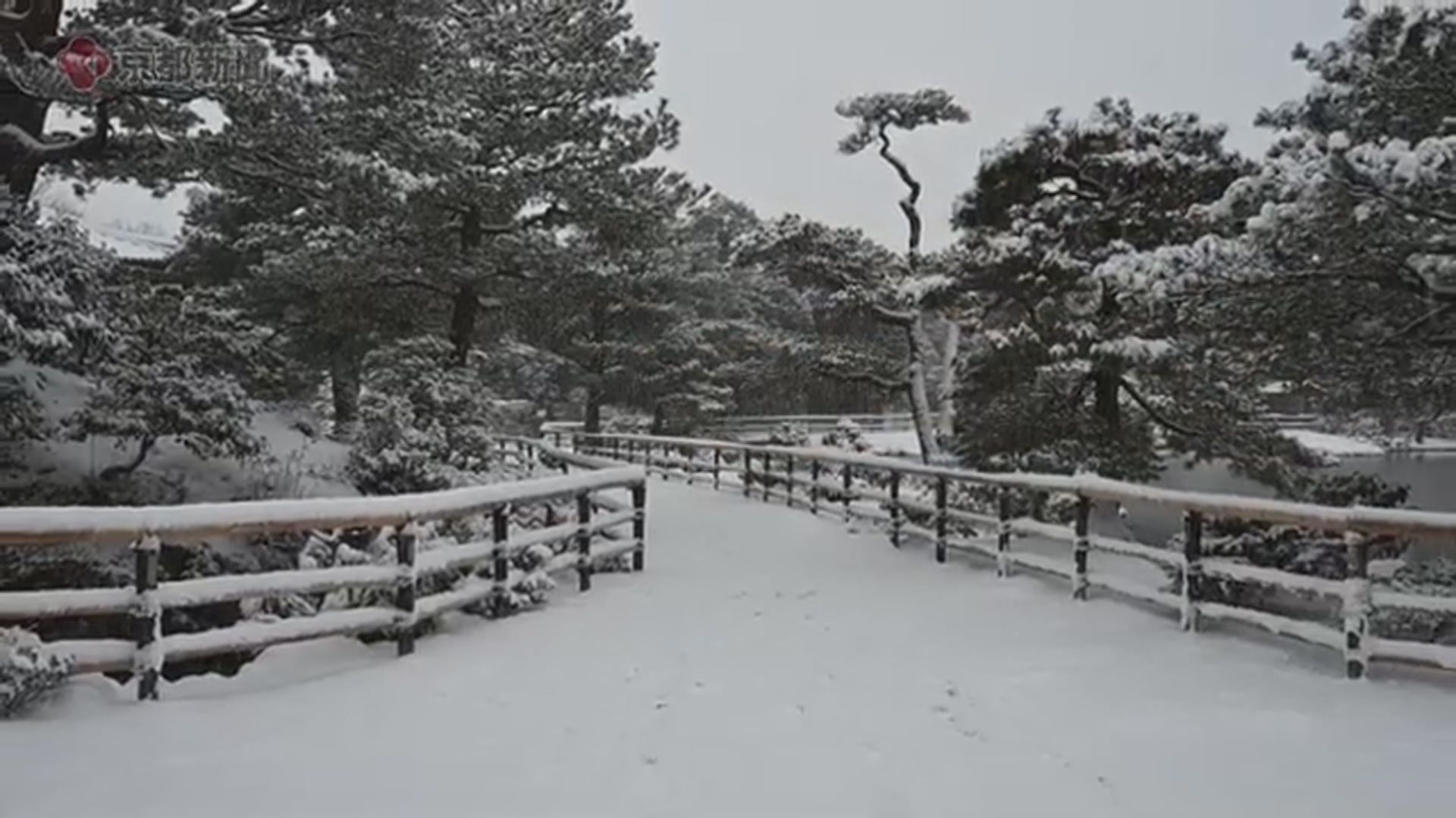 今季最強寒流下　京都金閣寺披上白雪
