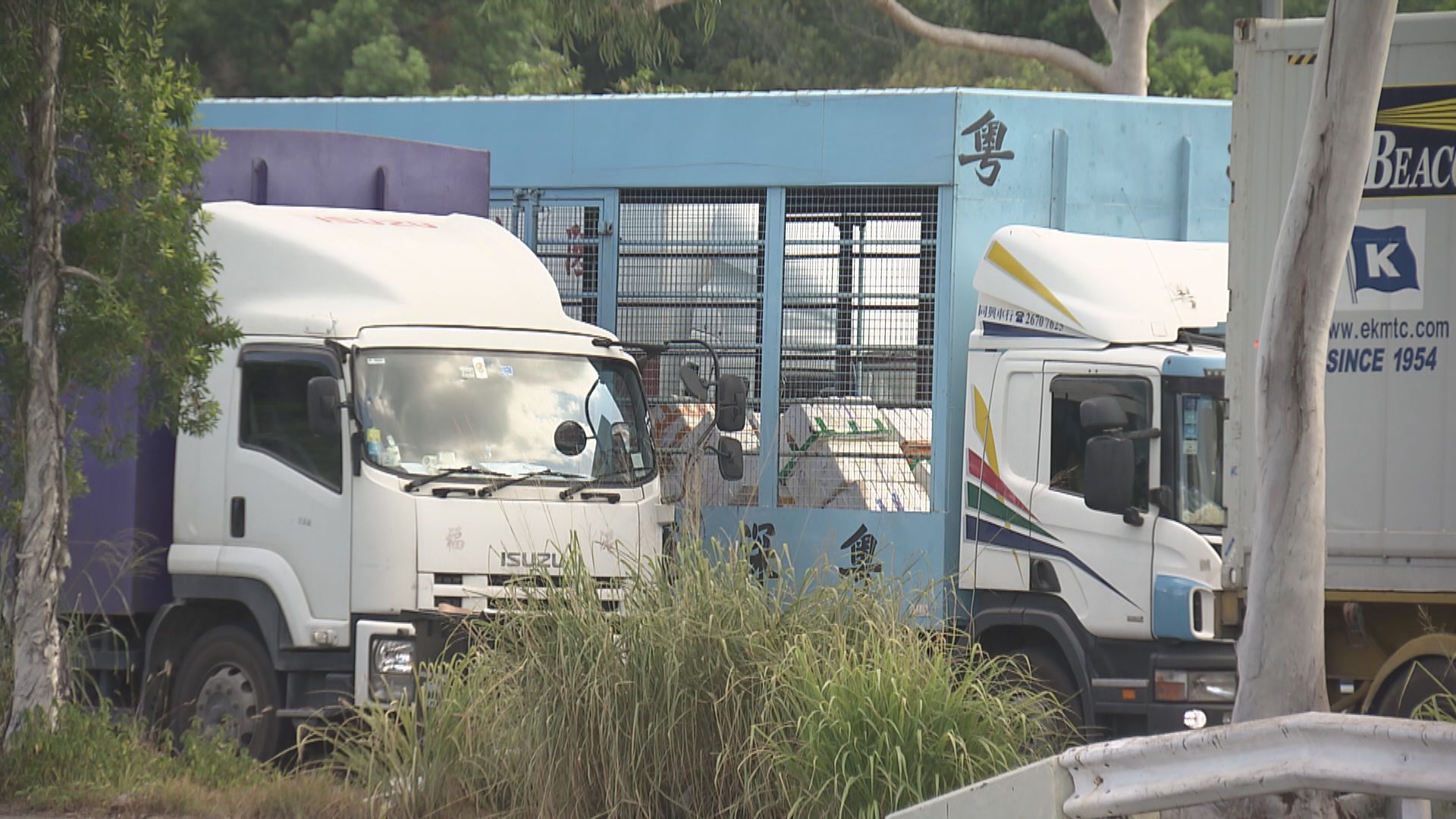 再有跨境貨車司機確診　有業界擔心蔬菜供應不穩會持續