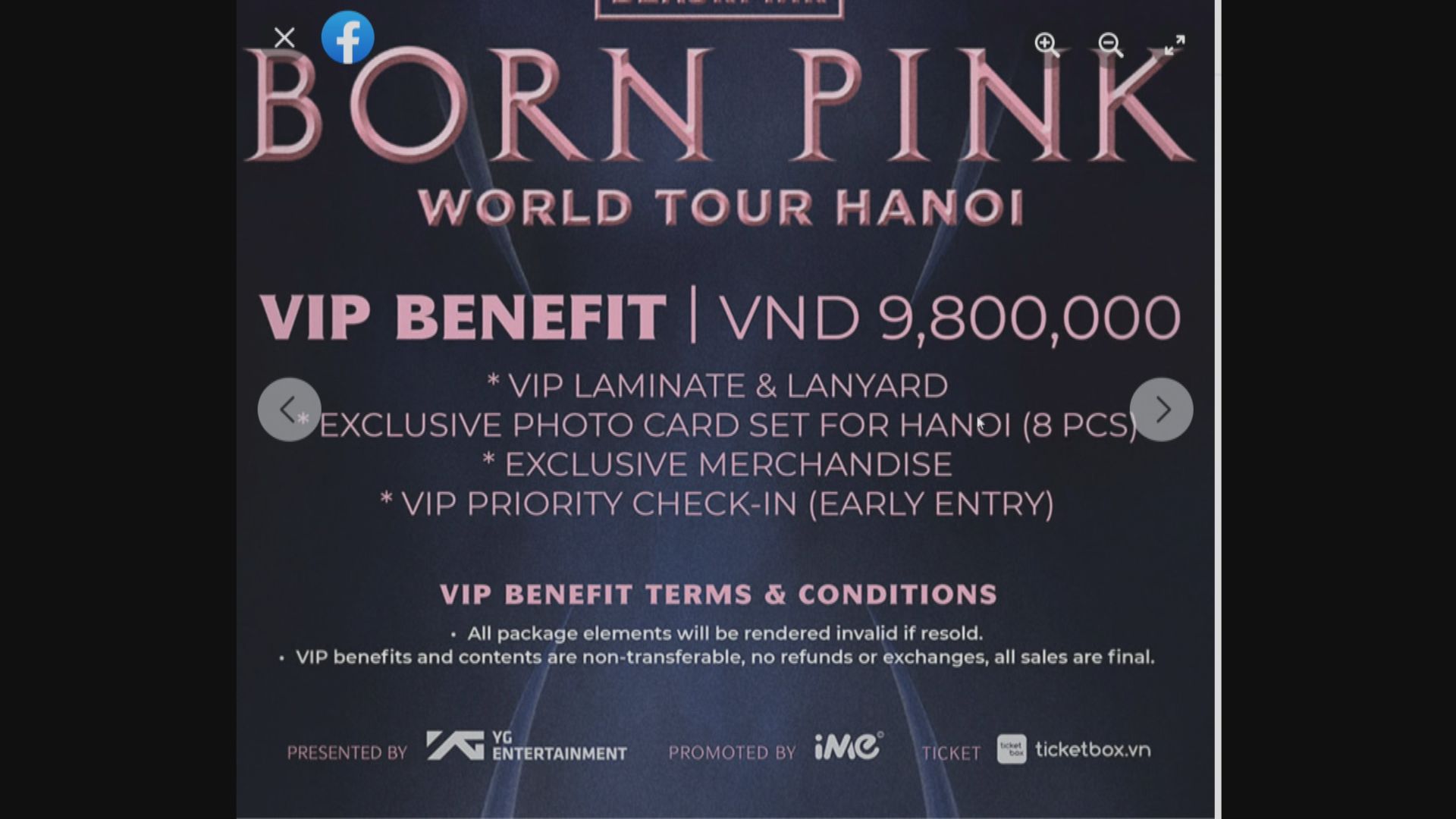 BLACKPINK演唱會越南站主辦方被指支持九段線 越網民揚言抵制