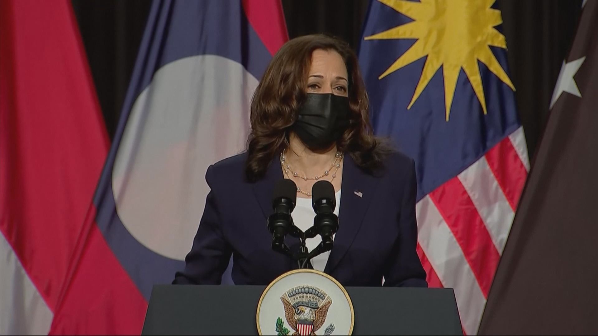 賀錦麗訪越南再談南海問題及協助抗疫　中國外交部反對美國插手