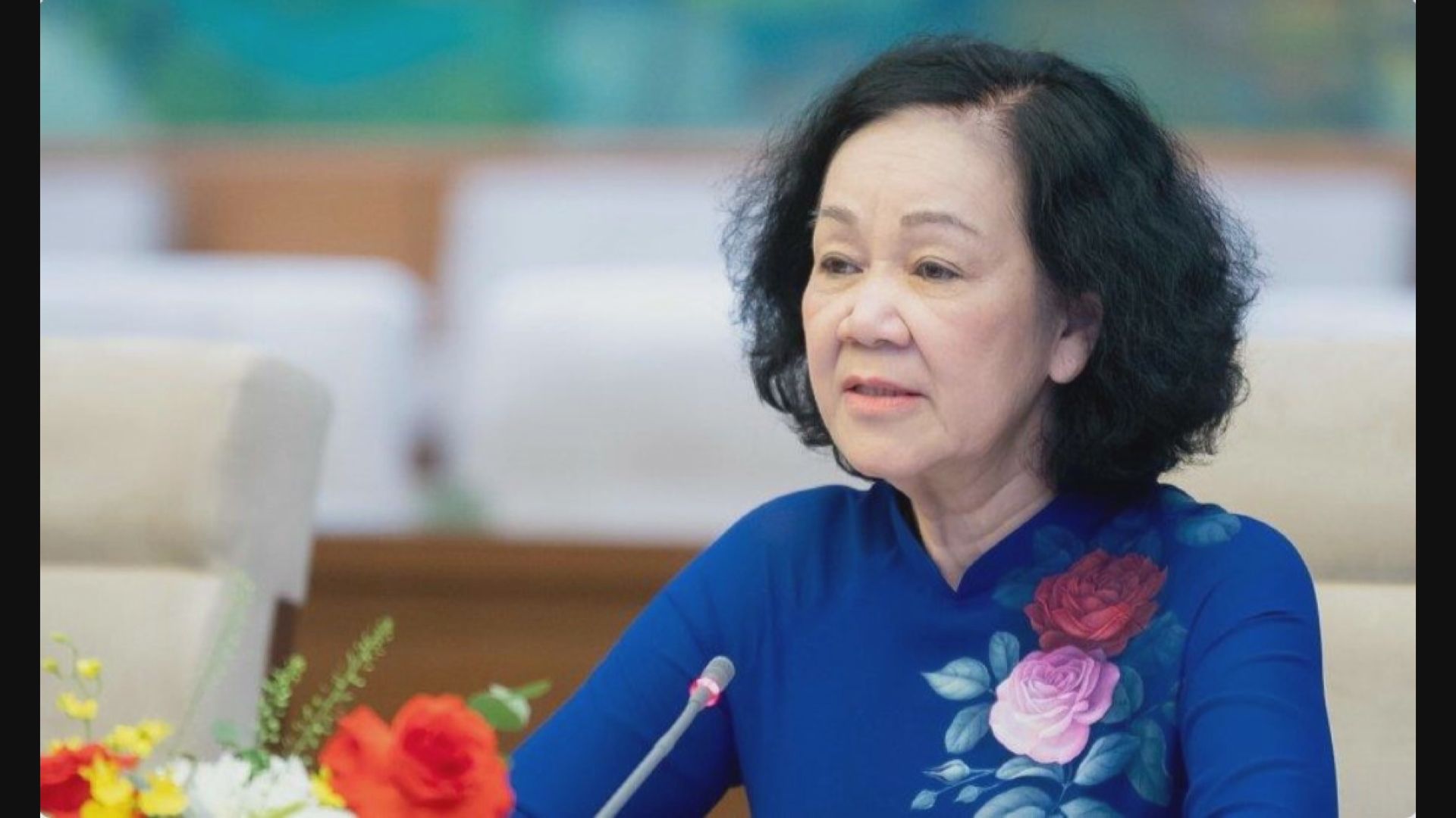 張氏梅辭任越共中央書記處常務書記