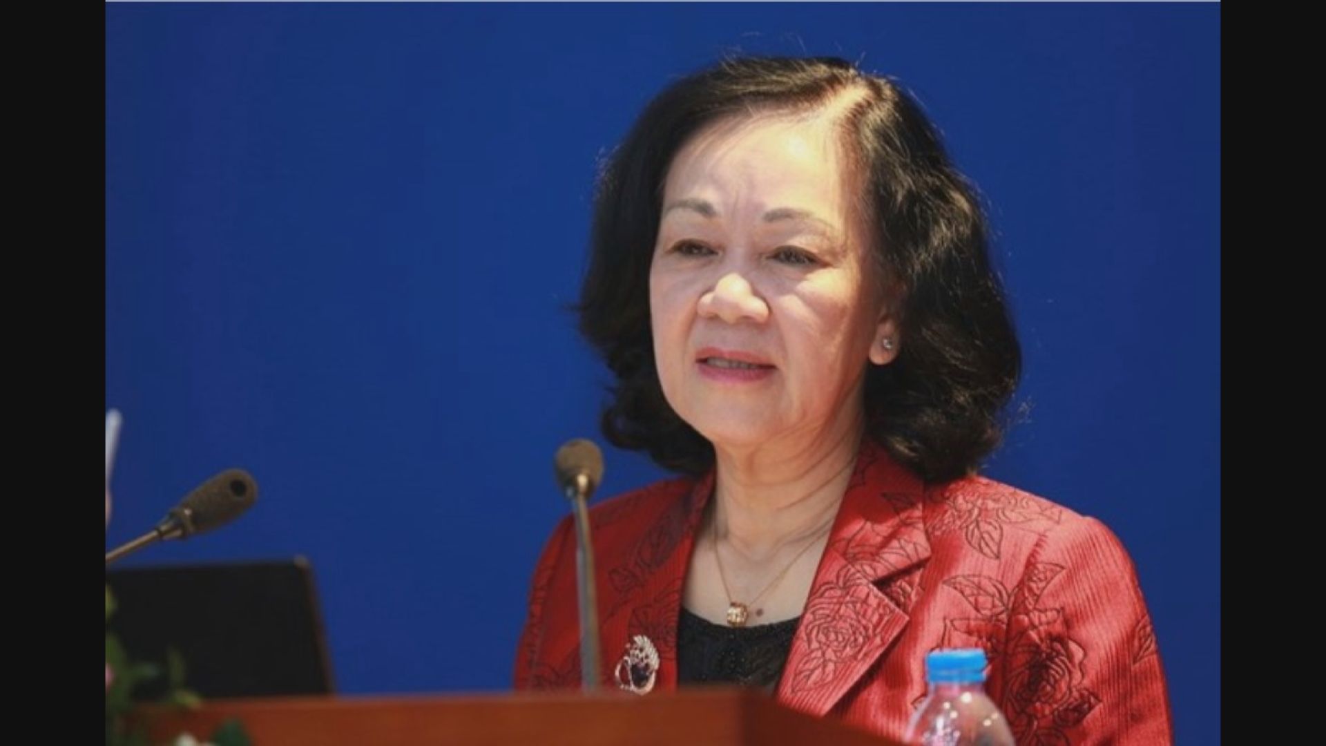 張氏梅違反黨員行為禁令 辭任越共中央書記處常務書記