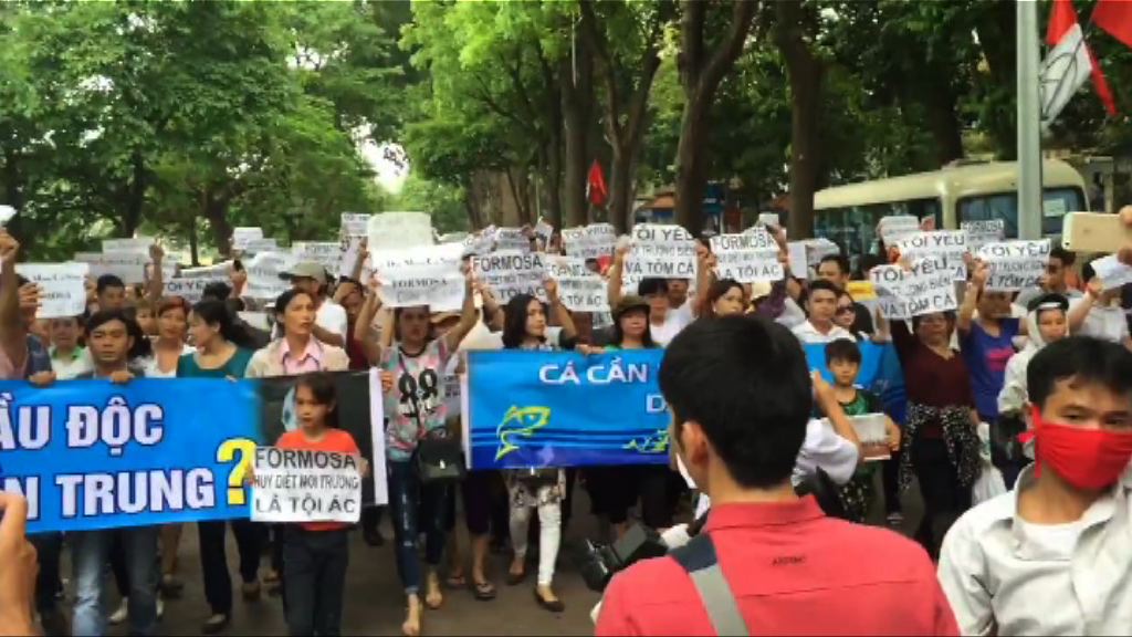 越南人示威指台塑污染致海產死亡