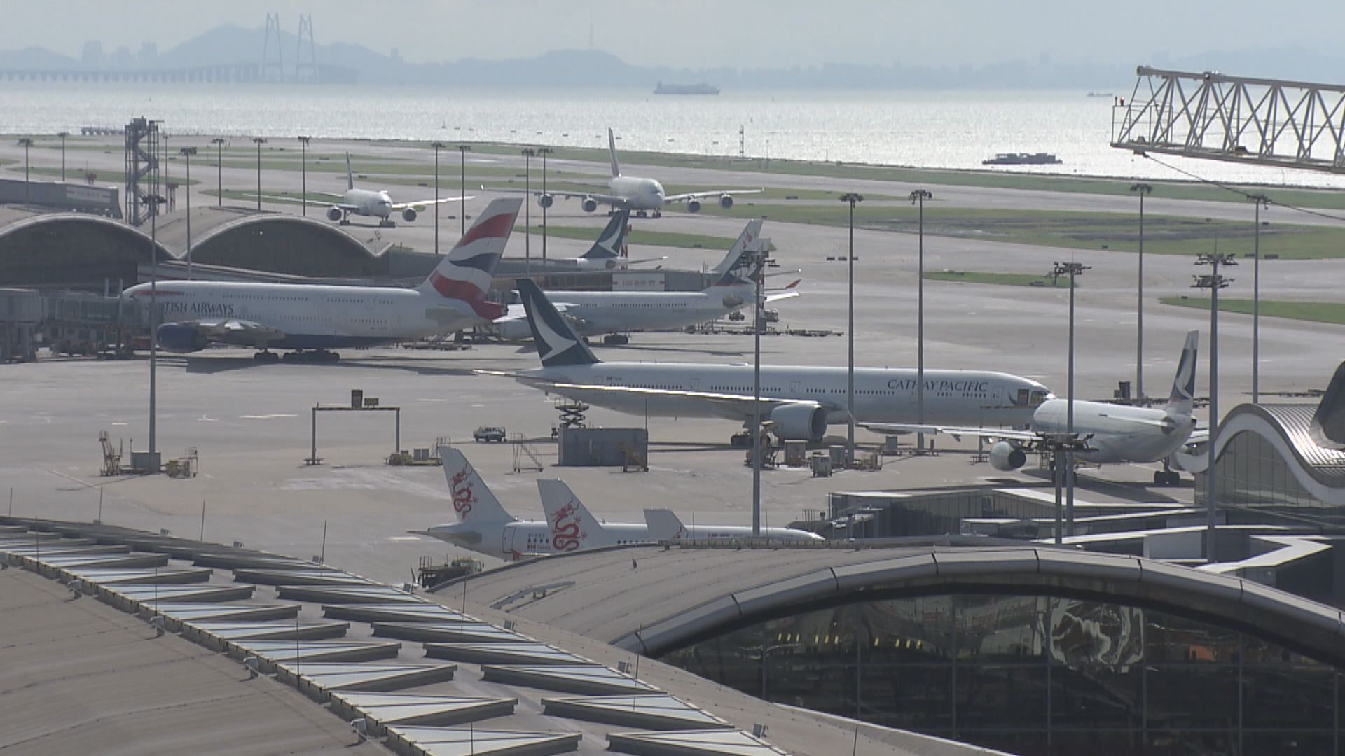 IATA：疫情將令今年全球航空業損失近300億美元