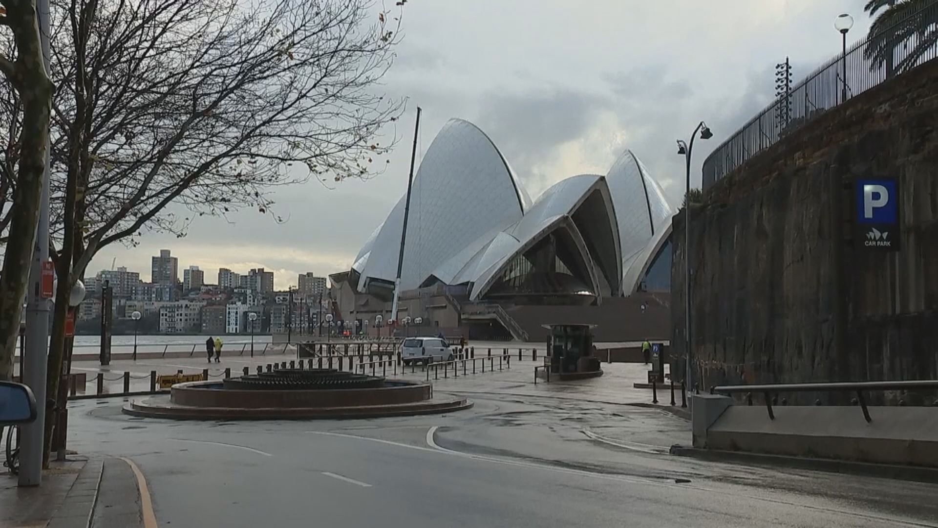 Delta變種新冠病毒蔓延　澳紐承認難「清零」