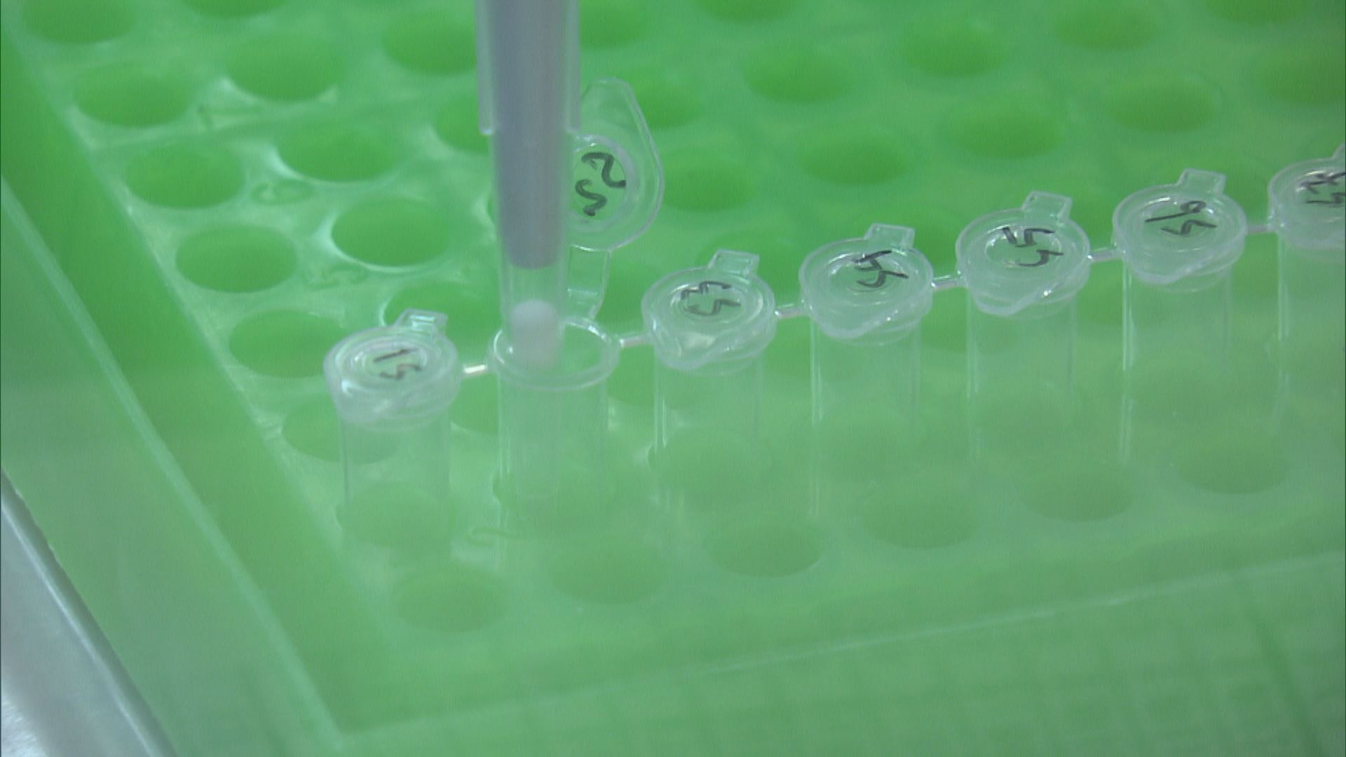 潘烈文：病毒測試需要對照　實驗室有武漢病毒株屬正常