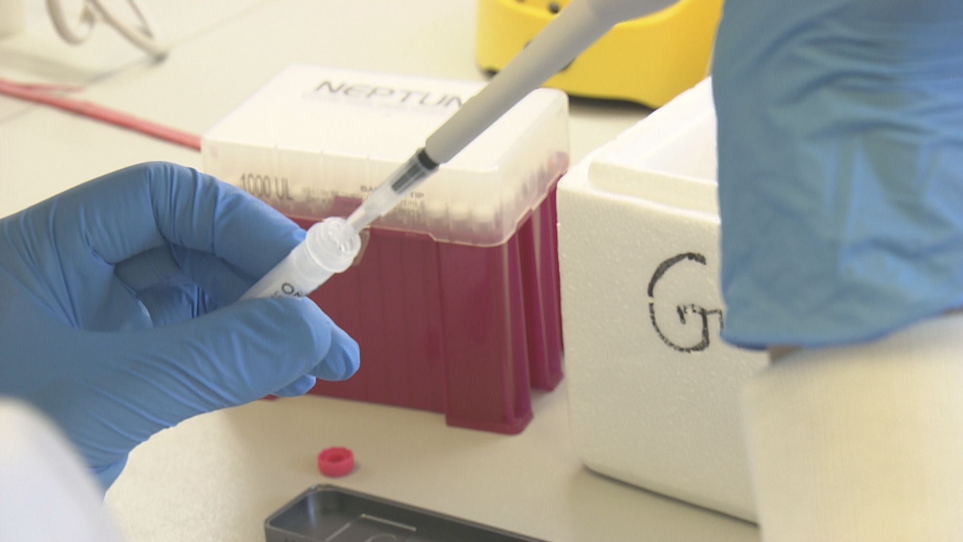 首本地源頭不明個案帶Delta變種病毒　正跟進傳播途徑