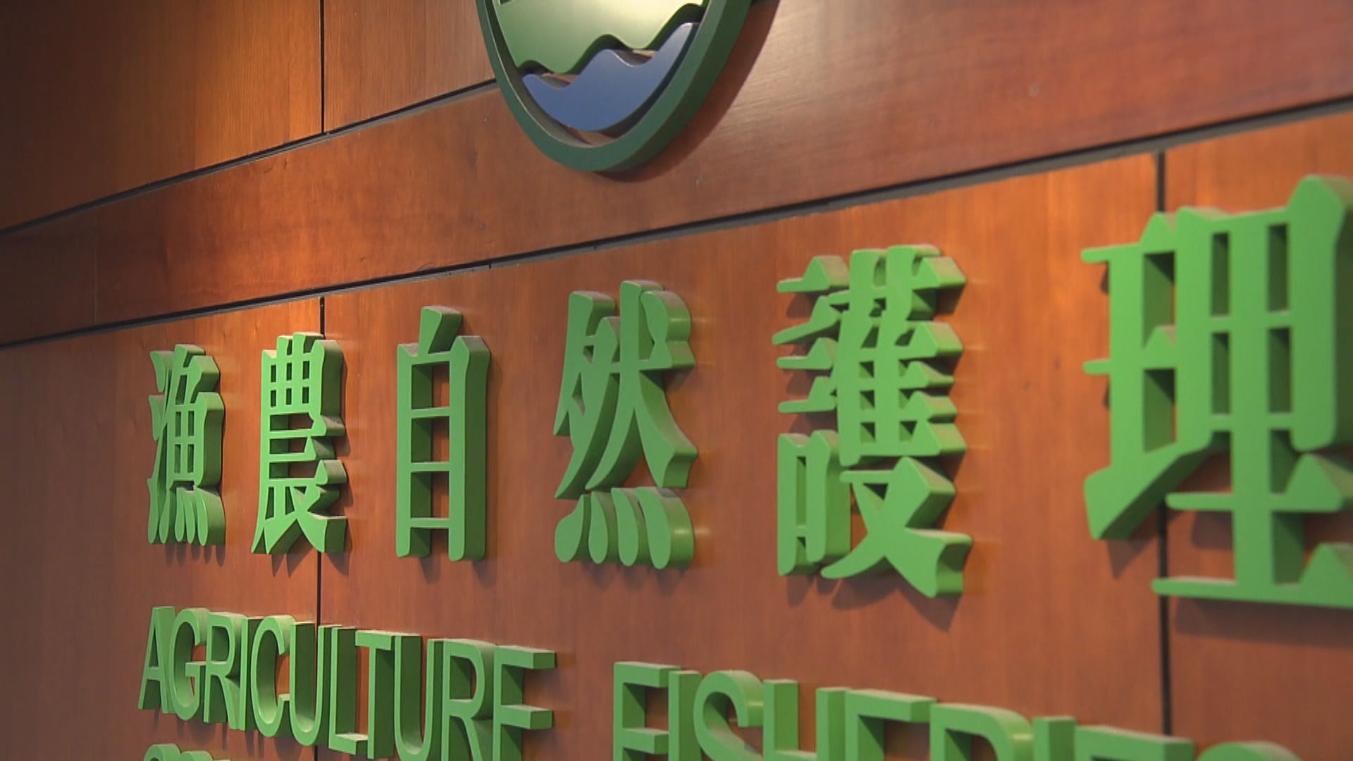 密切接觸者飼養貓隻對新冠病毒檢測呈陽性