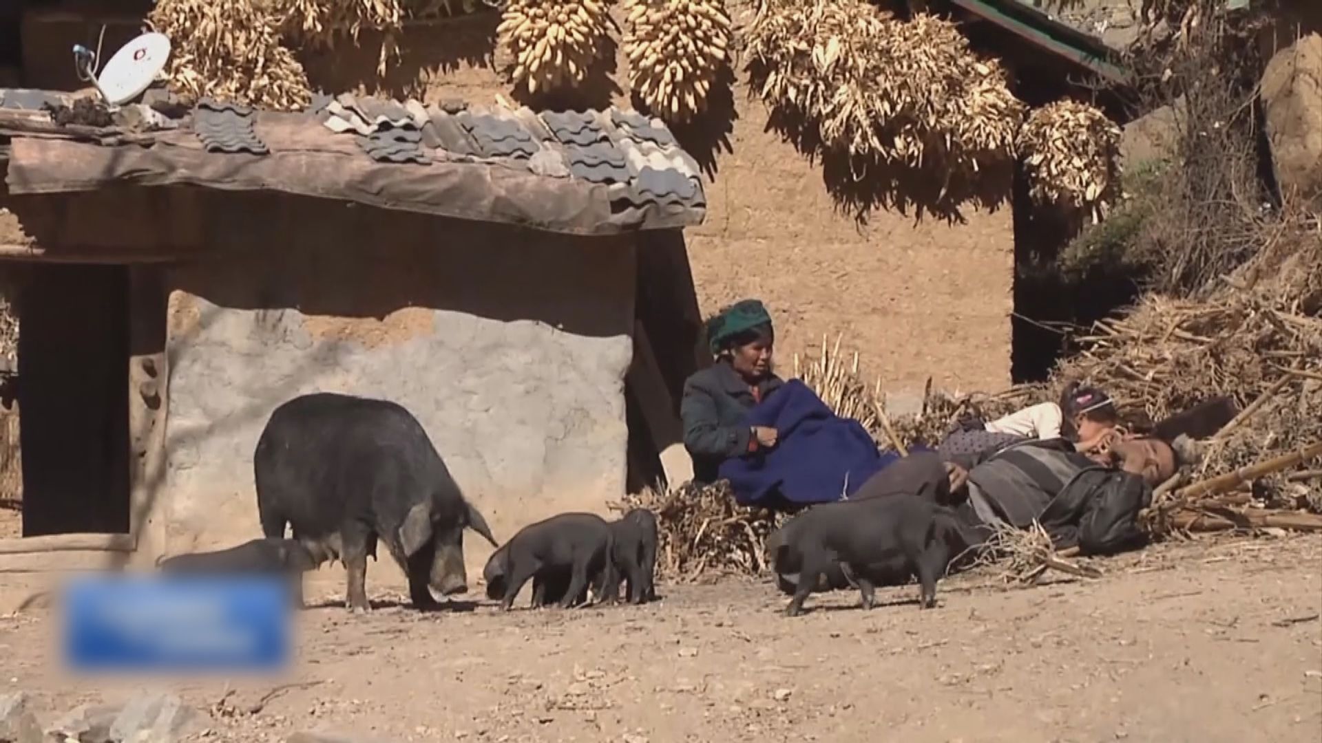 內地發布加強農村疫情防控工作方案